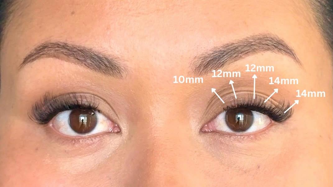 LONGER WEAR | LASH CLUSTERS KIT